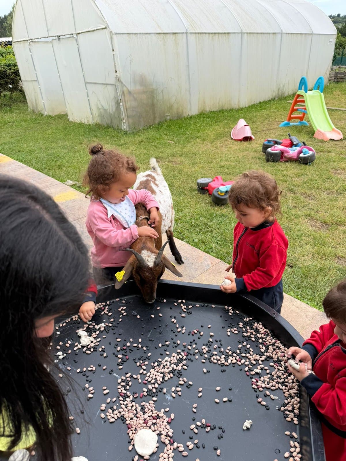 Excursión - Escuela Infantil Niño Jesús